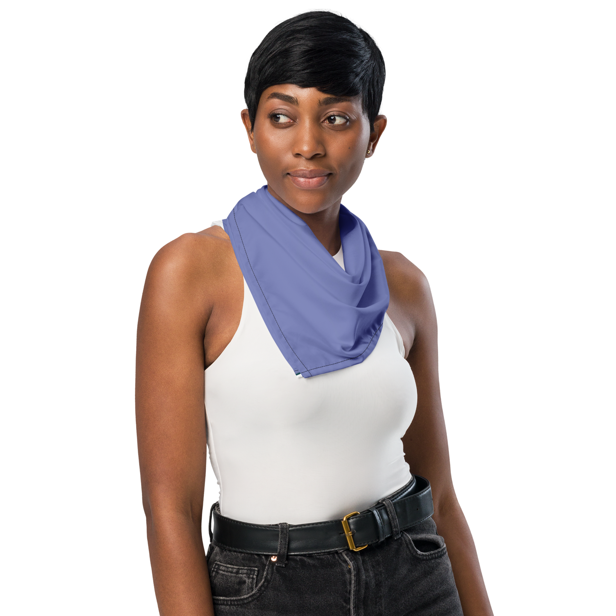 Sniff Squad Bandana – Match Your Pet, Join the Movement - Dr Whiff