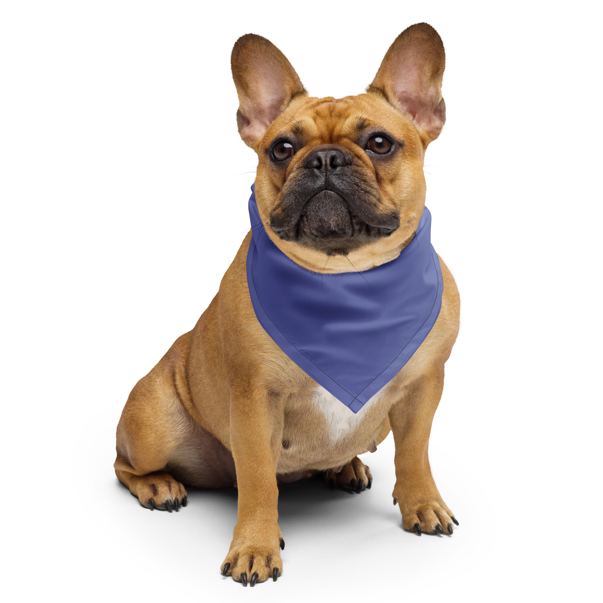 Sniff Squad Bandana – Match Your Pet, Join the Movement - Dr Whiff